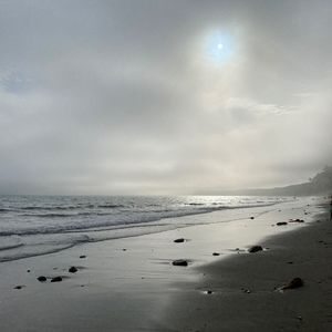 Meet your Posher, Noelle